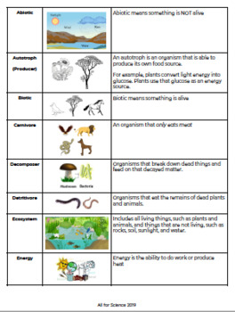 Preview of Ecosystems Vocabulary Spanish
