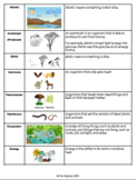 Ecosystems Vocabulary Spanish