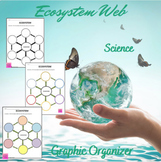 Ecosystems Web Graphic Organizer | Middle School Science