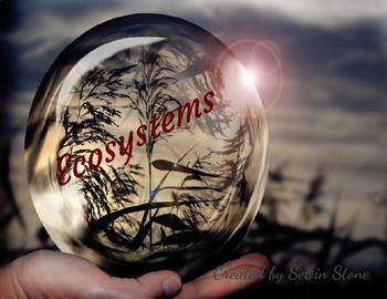 Preview of Ecosystems Word Wall Printable Cards