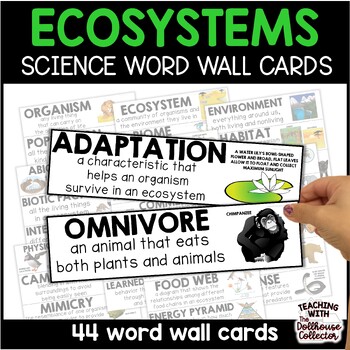 Preview of Ecosystems Vocabulary Word Wall Cards 5th Grade Science Adaptations, Food Chains
