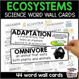 Ecosystems Vocabulary Word Wall Cards 5th Grade Science Ad