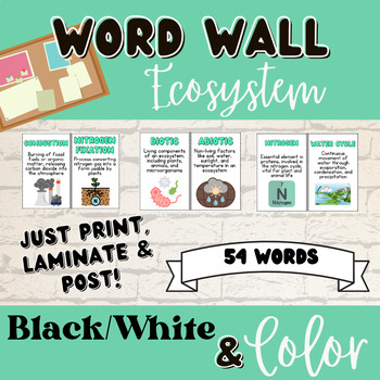 Preview of Ecosystems Word Wall B&W & Color (54 words)