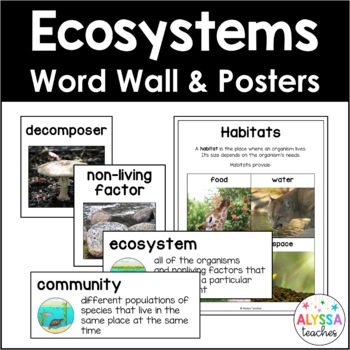 Preview of Ecosystems Word Wall and Poster Set (SOL 4.3)