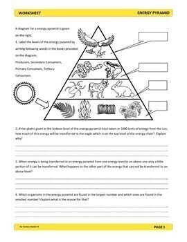 Ecosystems Worksheets Bundle by Science Master | TpT