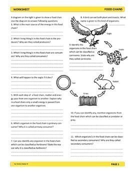 Ecosystems Worksheets Bundle by Science Master | TpT