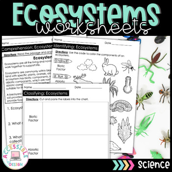 Preview of Ecosystems Worksheets | Special Education | Life Science 