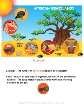 Ecosystems and Adaptation Anchor Chart by I Think School | TpT