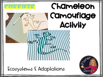 Preview of Ecosystems and Adaptations camouflage chameleon activity freebie