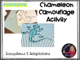 Ecosystems and Adaptations camouflage chameleon activity freebie