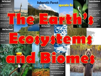Preview of Ecosystems Powerpoint
