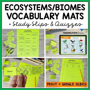 Preview of Biomes and Ecosystems Vocabulary Activities and Quiz for Ecosystem Words