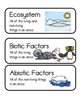 Preview of Ecosystems and Biomes Word Wall (Visual and Definition for Key Vocabulary Terms)