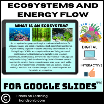 Preview of Ecosystems and Energy Flow Unit for Google Slides