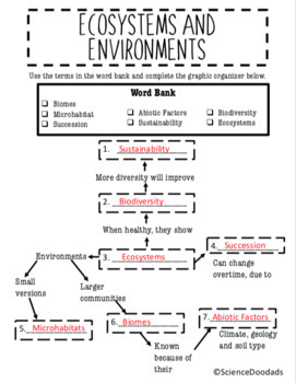 Biodiversity Graphic Organizer by Madison Winters