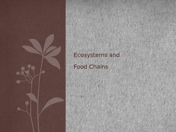 Preview of Ecosystems and Food Chains PowerPoint