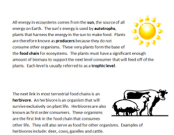 Preview of Ecosystems and Food Chains Study Guide