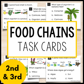 Preview of Food Chains Task Cards | 2nd Grade 3rd Grade Life Science | Food Chain Activity