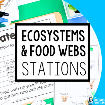 Preview of Ecosystems & Food Webs Science Stations | 4th Grade 5th Grade Activity TEKS NGSS
