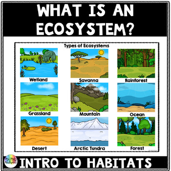 Preview of Ecosystems and Living Organisms