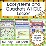 Ecosystems and Quadrats WHOLE Lesson