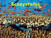 Ecosystems - basics and adaptations