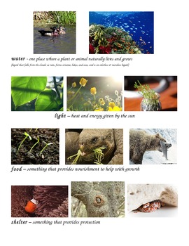 Preview of Ecosystems definitions with pics