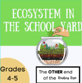 Ecosystems in the Classroom - A Science and Literacy Thema