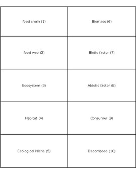 Preview of Ecosystems introductory vocabulary flashcards