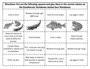 Ectothermic Vertebrate Animals Sort by The Wright Ladies | TpT