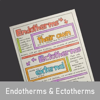 Ectothermic and Endothermic Animals Doodle Sheets Life Science Biology