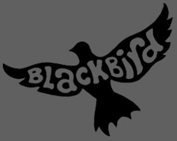 Preview of Edgar Allan Poe: Song - "Blackbird" by The Beatles