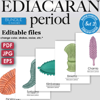 Preview of Ediacaran Period Colorful Bundle: Charnia, Dickinsonia, Ernietta, Kimberella..
