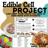 Edible Cell Project | Instructions, Examples, Organelle Checklist