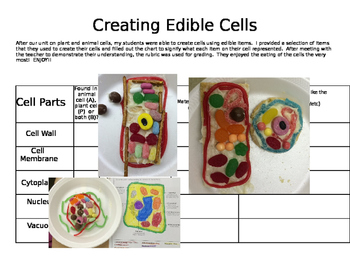 Preview of Edible Cell Project with Chart, Rubric and Suggestions