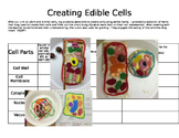 Edible Cell Project with Chart, Rubric and Suggestions