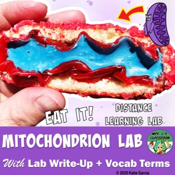 Preview of Edible Mitochondrion Lab - Great Activity for Distance Learning