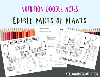 Preview of Edible Parts of Plants Doodle Note, Color Handout, Printable