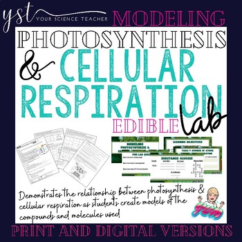 Preview of Edible Photosynthesis & Cellular Respiration Lab - Digital & Print & Go!