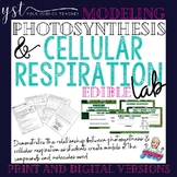 Edible Photosynthesis & Cellular Respiration Lab - Digital