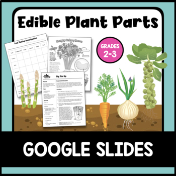 Preview of Edible Plant Parts: Google Slides