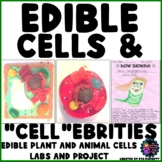 Edible Plant and Animal Cell Labs and Organelles Project