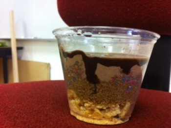 Preview of Soil Horizons A-B-C Formation Lab Activity Edible