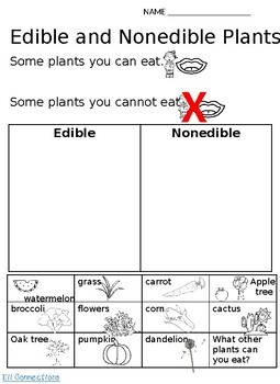 Preview of Edible and Nonedible Plants English Language Learners Visual Support