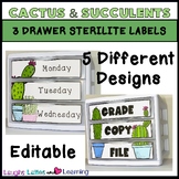 Editable 3 Drawer Sterilite Labels - Succulent and Cactus Classroom Decor