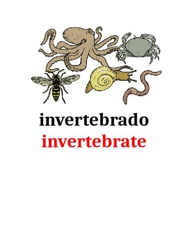 Preview of Editable Animal Vocabulary for Word Wall in Spanish and English