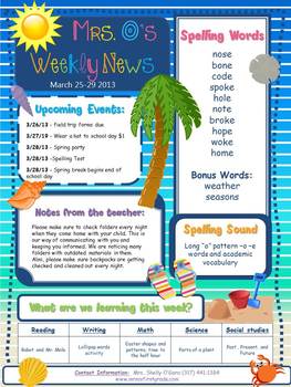 Preview of Editable Beach Theme Elementary Newsletter