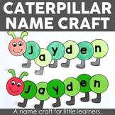 Editable Caterpillar Name Craft - Name Writing Practice Activity