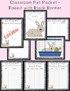 Preview of Editable Classroom Pet Packet ~ Rabbit with Scribble Black Border