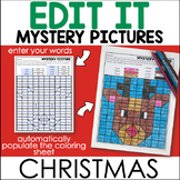 Editable Color By Code - Sight Words Mystery Pages - Christmas